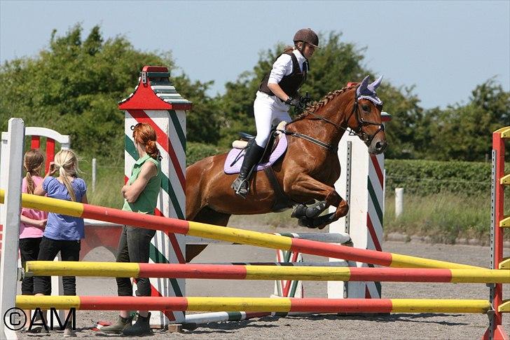 11/06 - 11 | Dragør Stor Magleby Rideklub - spring billede 49