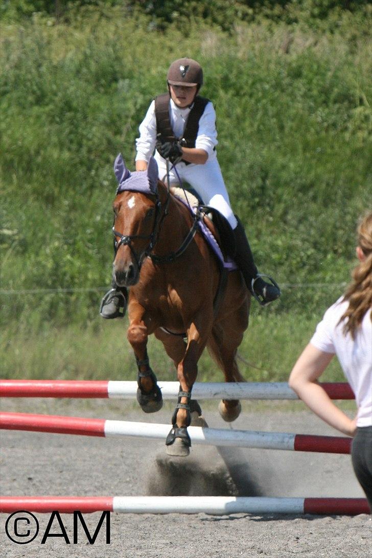 11/06 - 11 | Dragør Stor Magleby Rideklub - spring billede 51