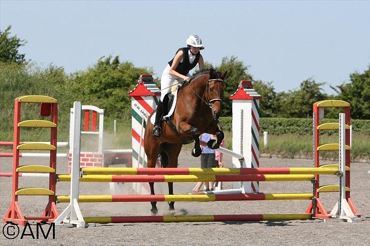 11/06 - 11 | Dragør Stor Magleby Rideklub - spring billede 53