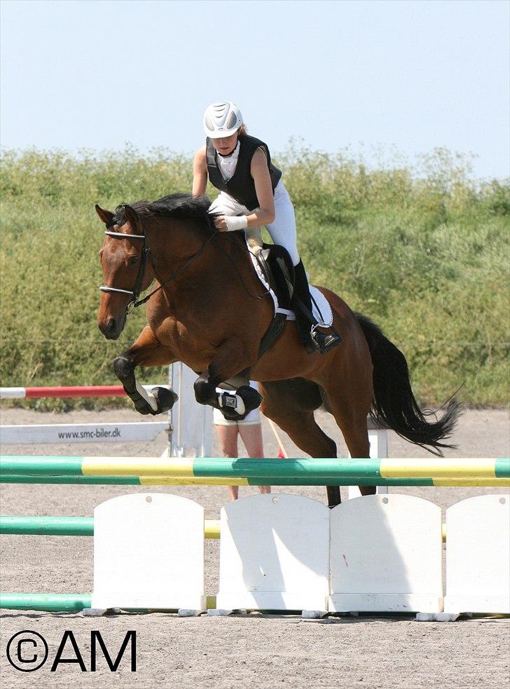 11/06 - 11 | Dragør Stor Magleby Rideklub - spring billede 54
