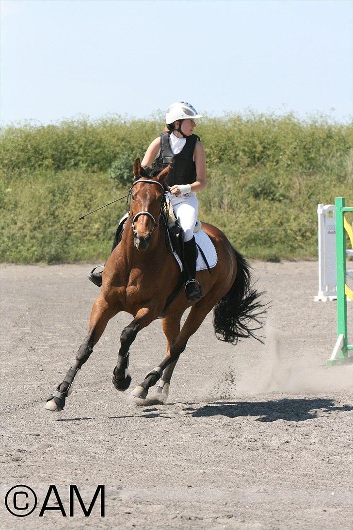 11/06 - 11 | Dragør Stor Magleby Rideklub - spring billede 55