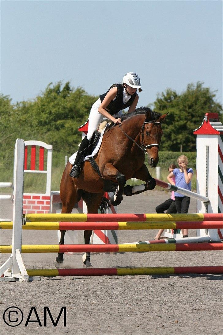 11/06 - 11 | Dragør Stor Magleby Rideklub - spring billede 56