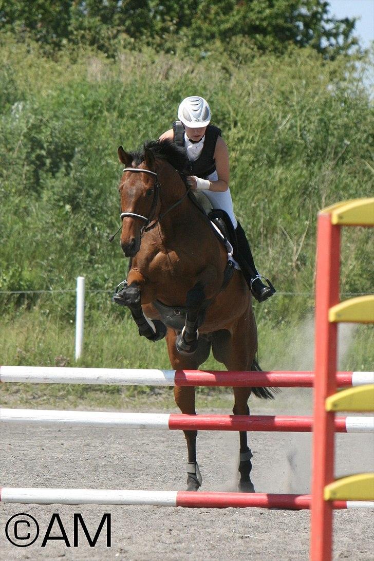 11/06 - 11 | Dragør Stor Magleby Rideklub - spring billede 58