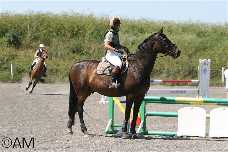 11/06 - 11 | Dragør Stor Magleby Rideklub - spring billede 59