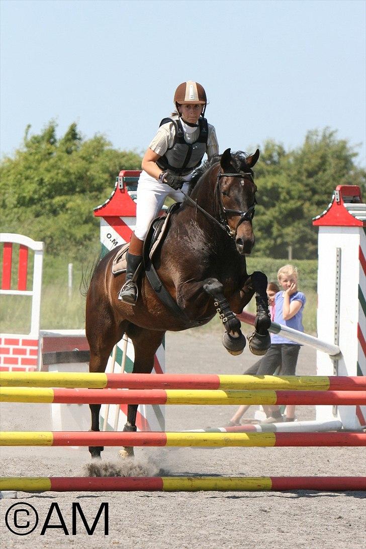 11/06 - 11 | Dragør Stor Magleby Rideklub - spring billede 60