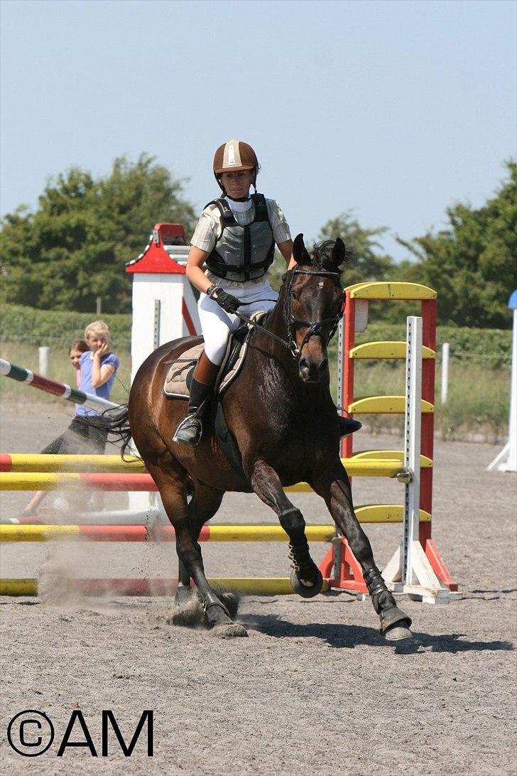 11/06 - 11 | Dragør Stor Magleby Rideklub - spring billede 61