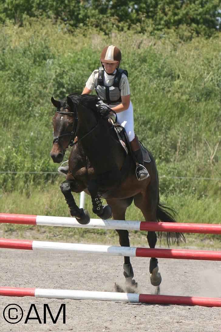 11/06 - 11 | Dragør Stor Magleby Rideklub - spring billede 62