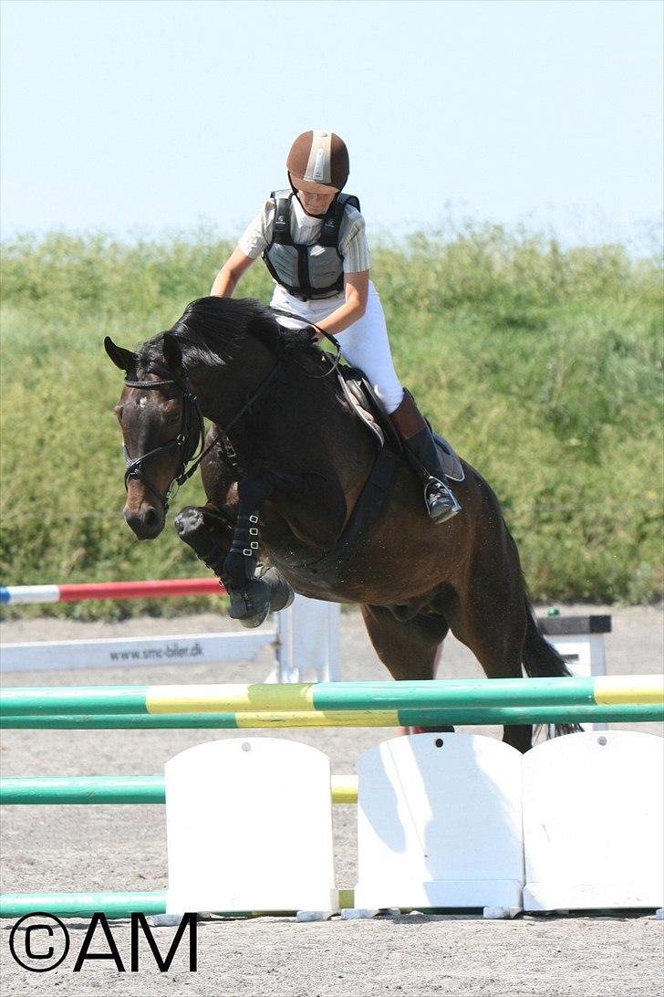 11/06 - 11 | Dragør Stor Magleby Rideklub - spring billede 63