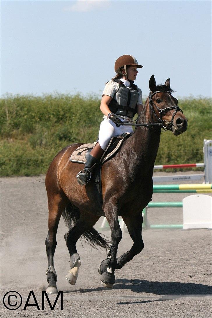 11/06 - 11 | Dragør Stor Magleby Rideklub - spring billede 65