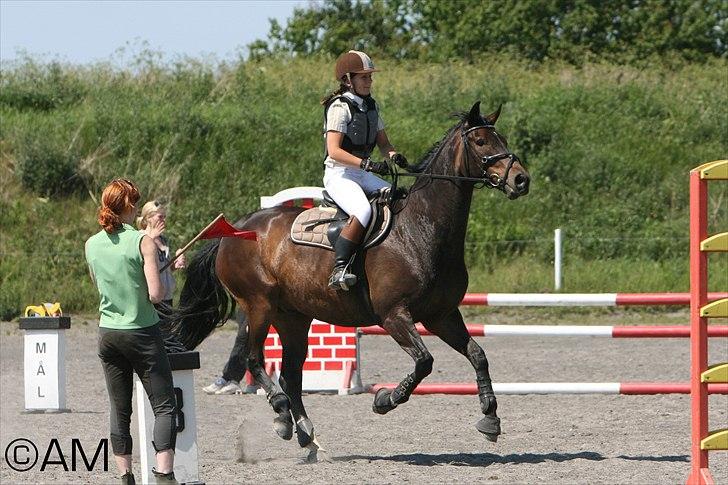 11/06 - 11 | Dragør Stor Magleby Rideklub - spring billede 66