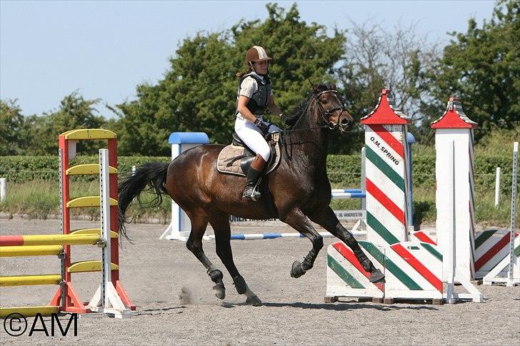 11/06 - 11 | Dragør Stor Magleby Rideklub - spring billede 67