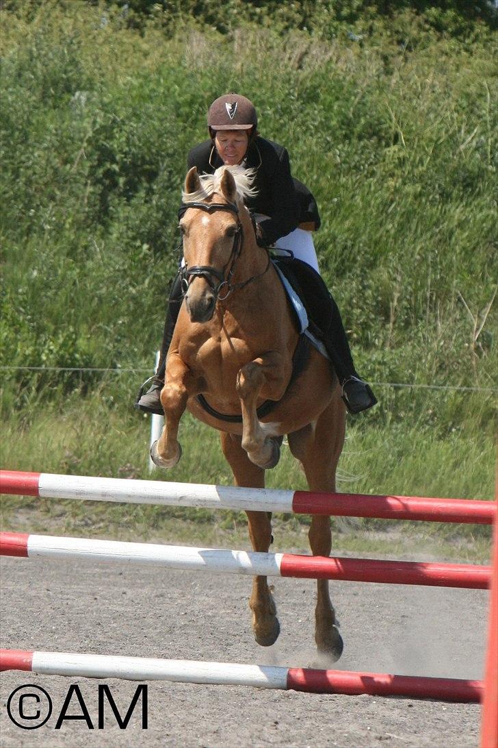 11/06 - 11 | Dragør Stor Magleby Rideklub - spring billede 68