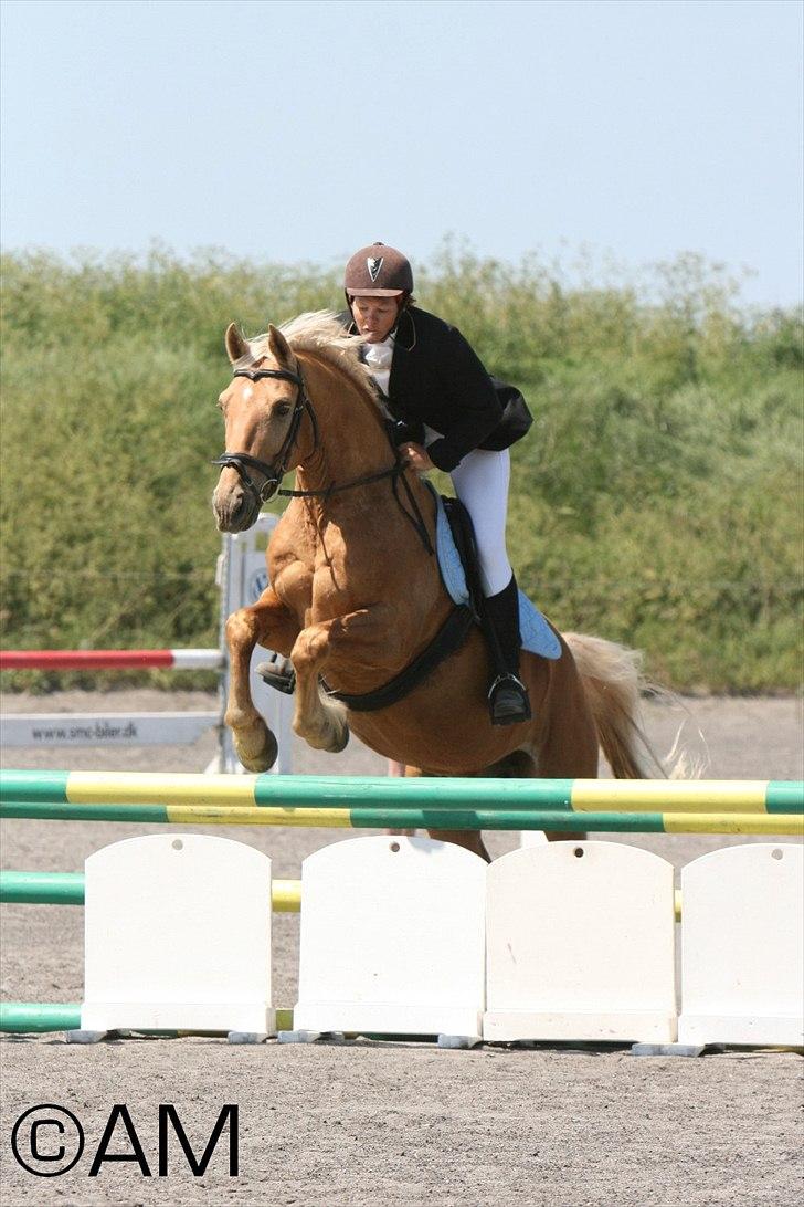 11/06 - 11 | Dragør Stor Magleby Rideklub - spring billede 69