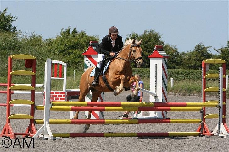 11/06 - 11 | Dragør Stor Magleby Rideklub - spring billede 70