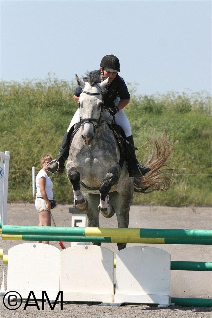 11/06 - 11 | Dragør Stor Magleby Rideklub - spring billede 71