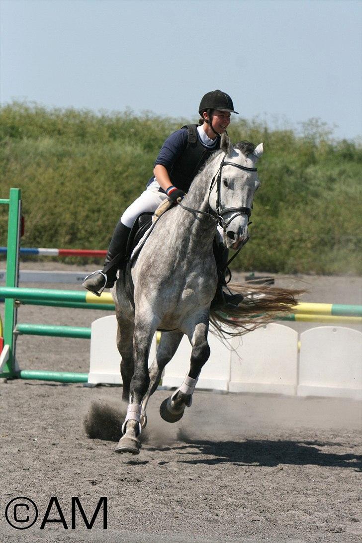 11/06 - 11 | Dragør Stor Magleby Rideklub - spring billede 72