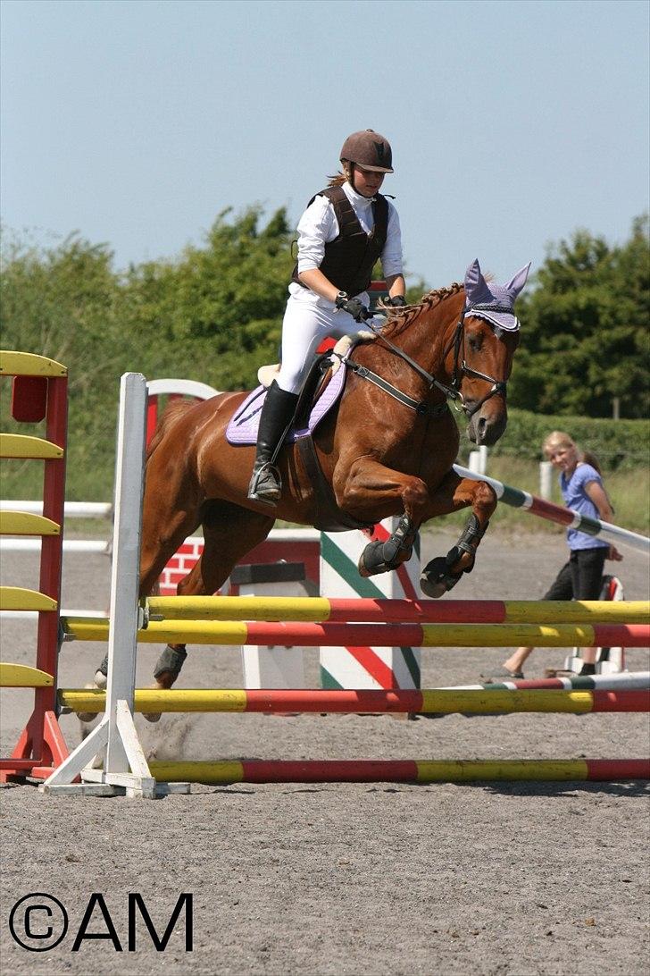 11/06 - 11 | Dragør Stor Magleby Rideklub - spring billede 73