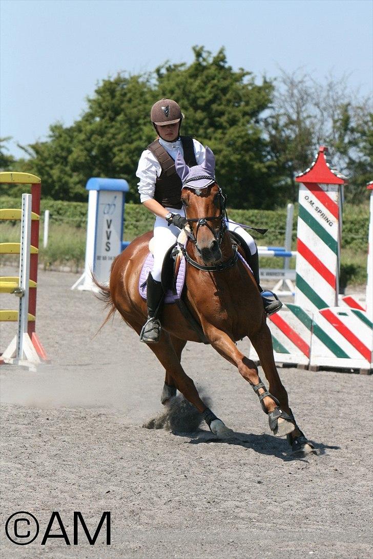 11/06 - 11 | Dragør Stor Magleby Rideklub - spring billede 74