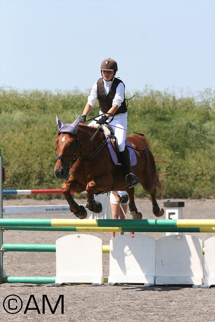 11/06 - 11 | Dragør Stor Magleby Rideklub - spring billede 75