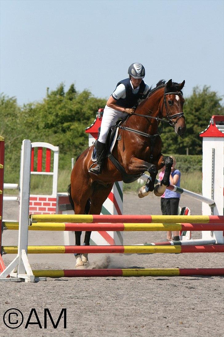 11/06 - 11 | Dragør Stor Magleby Rideklub - spring billede 76