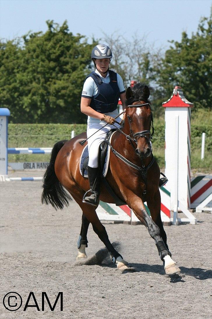 11/06 - 11 | Dragør Stor Magleby Rideklub - spring billede 77