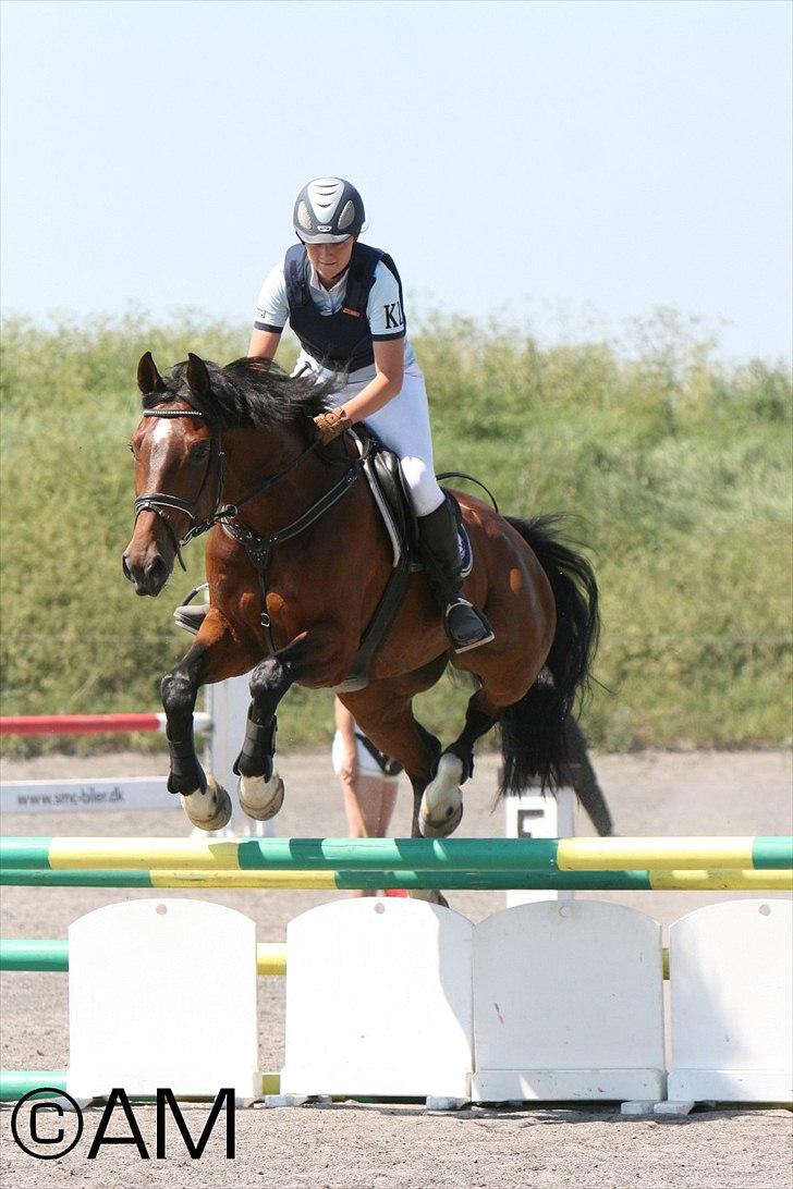 11/06 - 11 | Dragør Stor Magleby Rideklub - spring billede 78