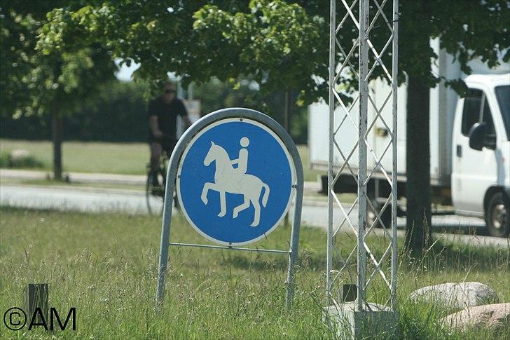 11/06 - 11 | Dragør Stor Magleby Rideklub - spring billede 79