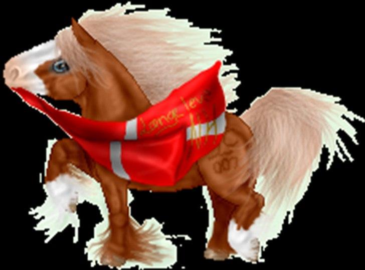 Net-Hesten - HT - Heste - Irish cob - til mit avlsforbund og fødelsdags hest til NH's fødselsdag ^^ billede 8