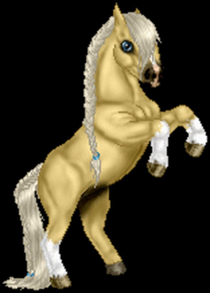 Net-Hesten - HT - Heste - Random pony :3 billede 13