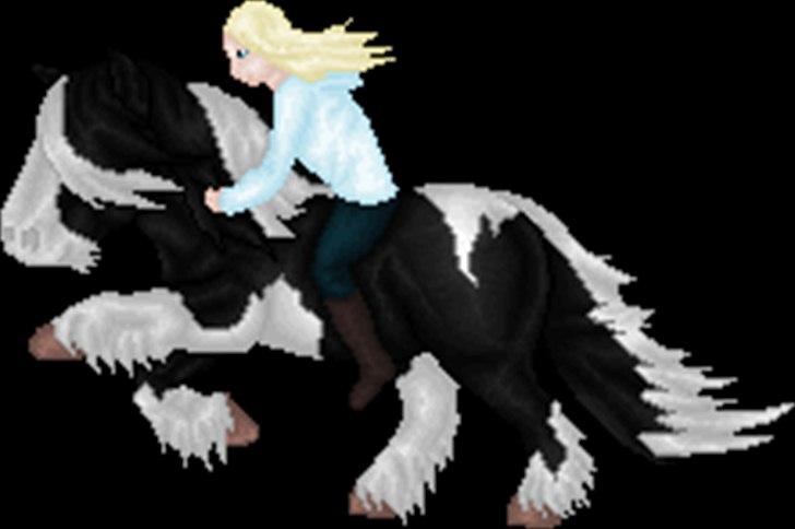 Net-Hesten - HT - Heste - Random GV/IC/Tinker billede 14