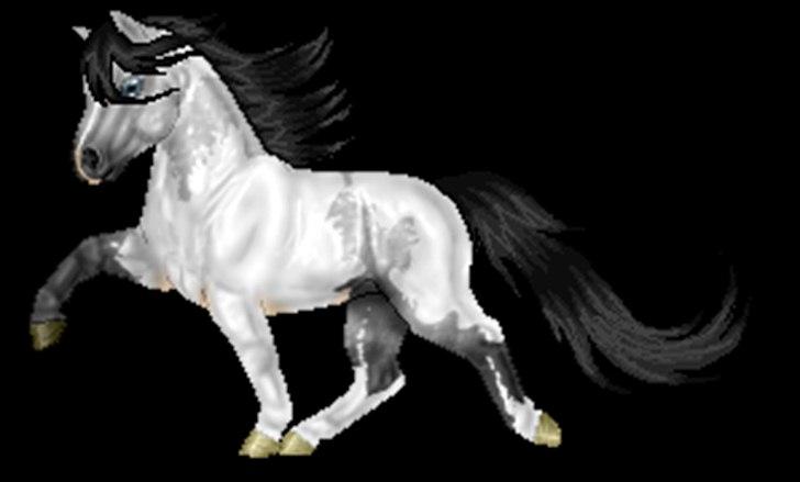 Net-Hesten - HT - Heste - En Tenesee walker :D billede 16