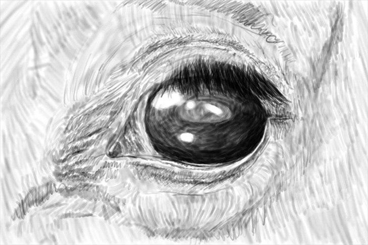 Mine Tegninger - Eye billede 20