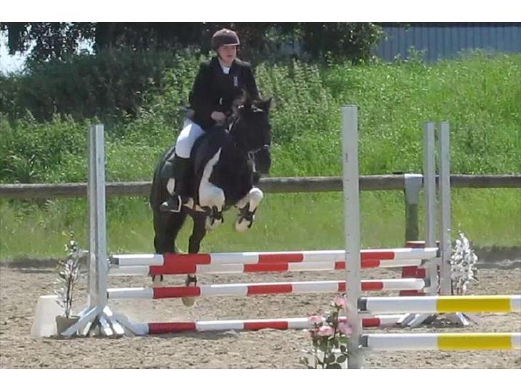 {{currentPhoto.altText}} billede {{currentPhoto.number}}