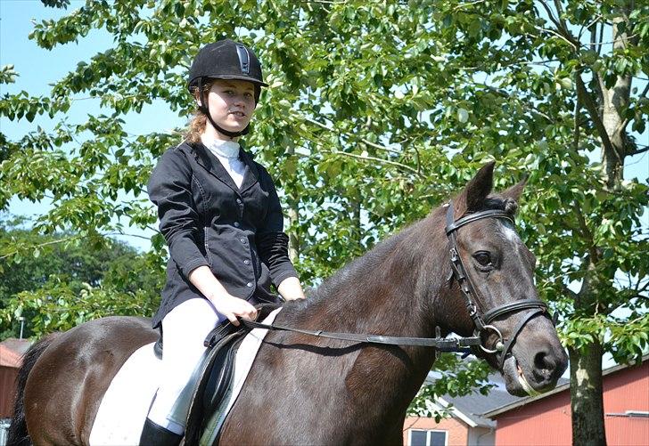 HJRK pinsestævne :) billede 1