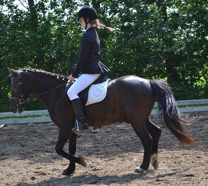 HJRK pinsestævne :) billede 3