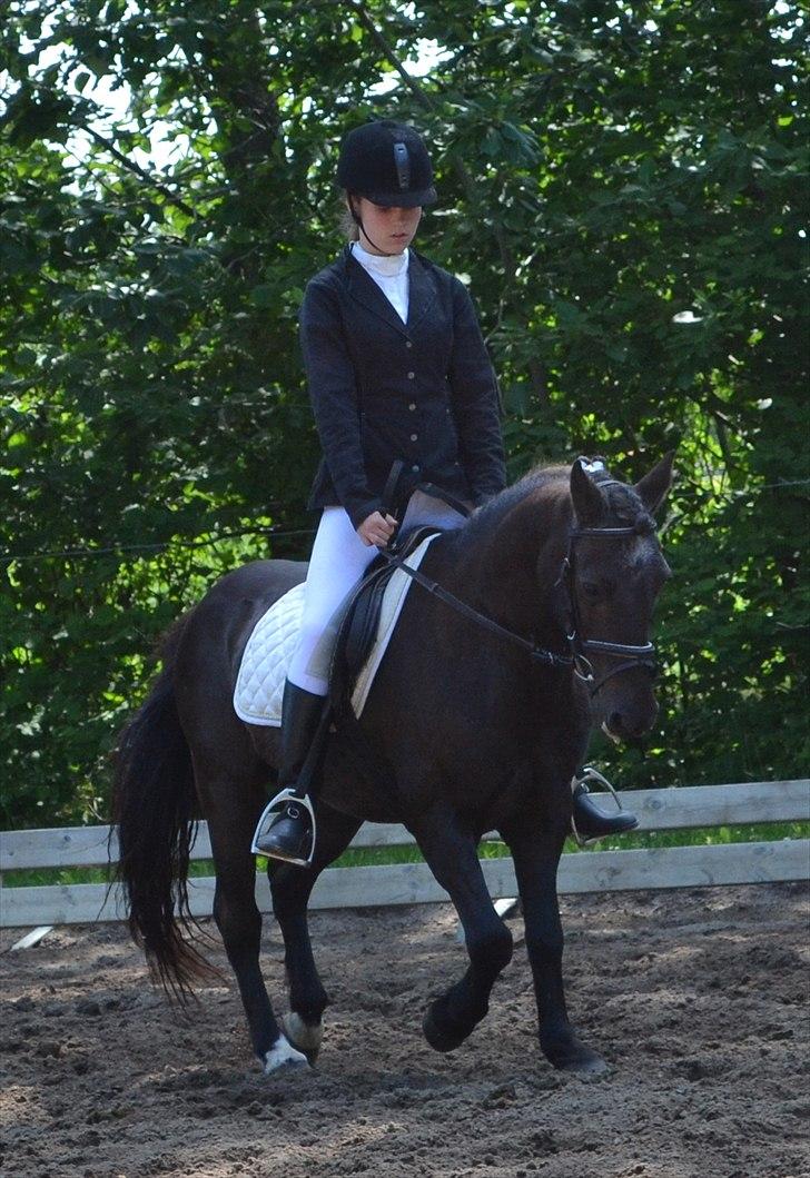 HJRK pinsestævne :) billede 4