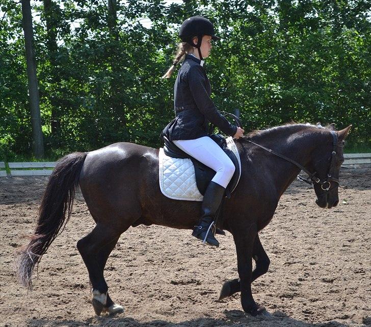 HJRK pinsestævne :) billede 5