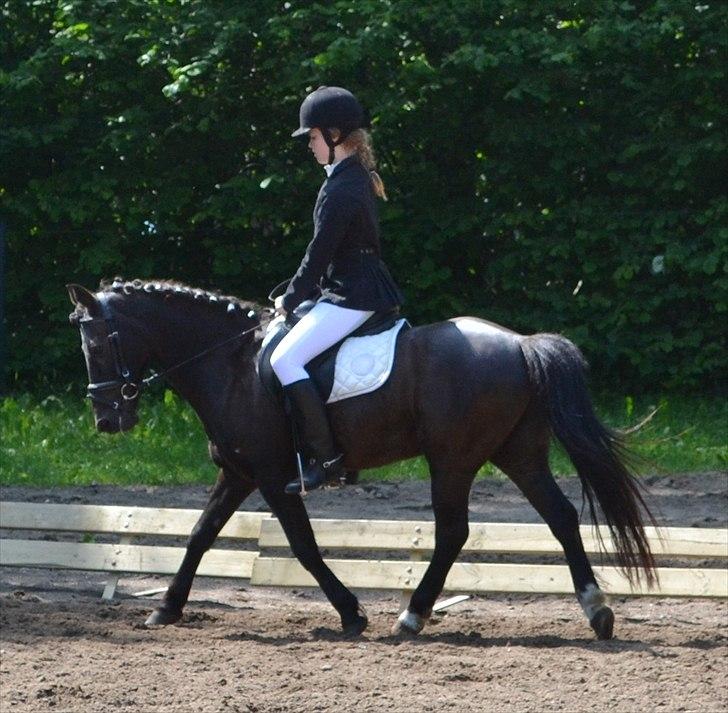 HJRK pinsestævne :) billede 6