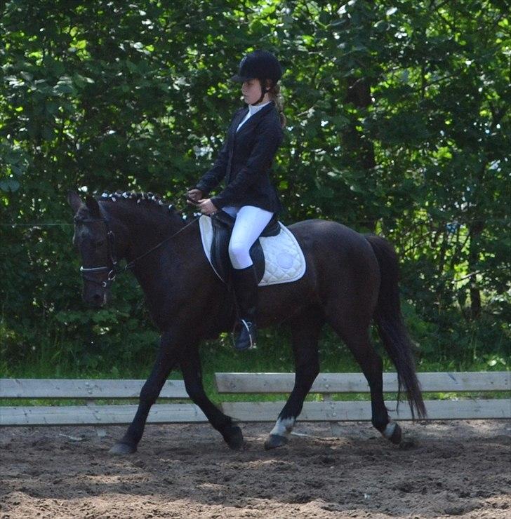 HJRK pinsestævne :) billede 7