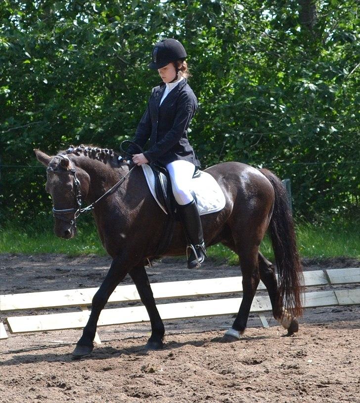 HJRK pinsestævne :) billede 8