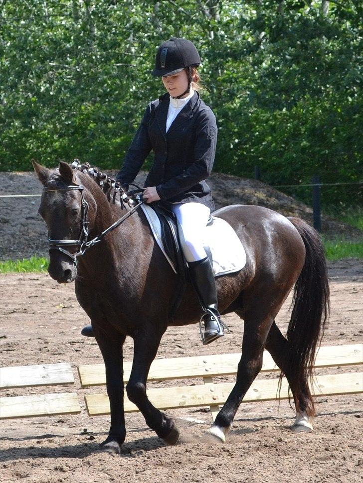 HJRK pinsestævne :) billede 9