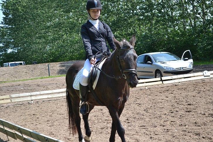 HJRK pinsestævne :) billede 10