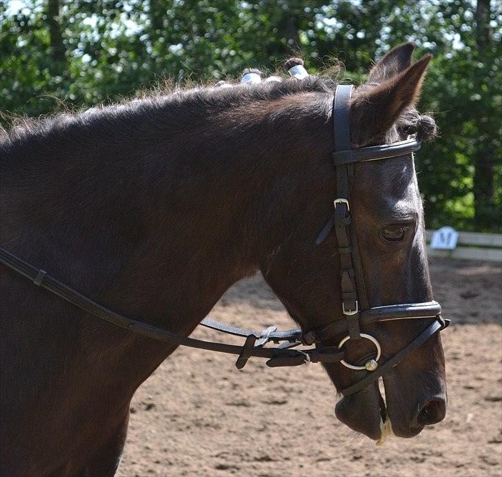 HJRK pinsestævne :) billede 11