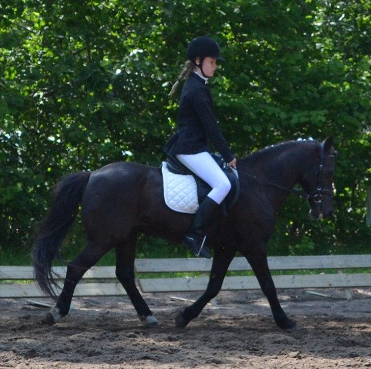 HJRK pinsestævne :) billede 12