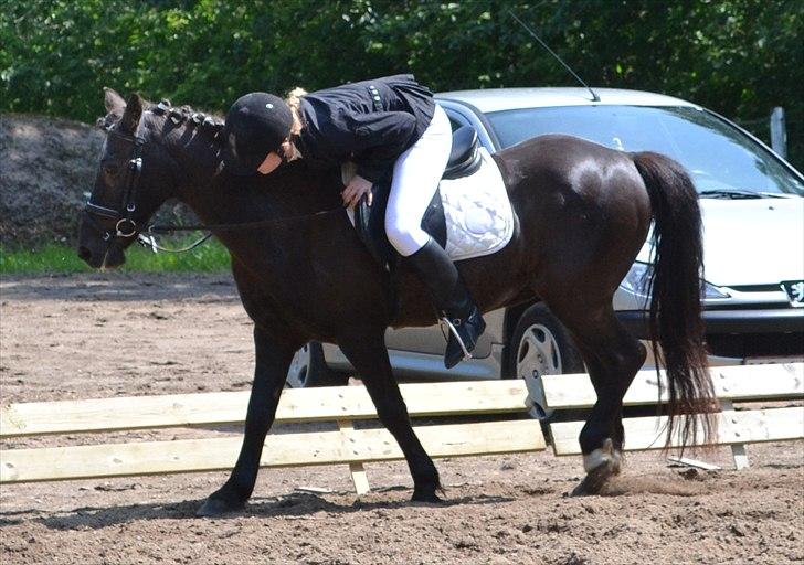 HJRK pinsestævne :) billede 14