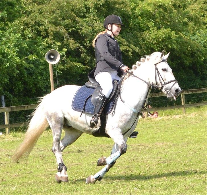 HJRK pinsestævne :) billede 16