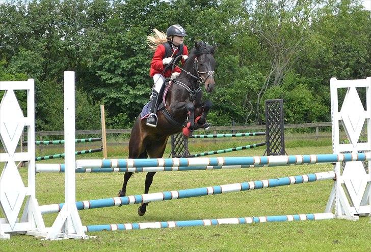 HJRK pinsestævne :) billede 20