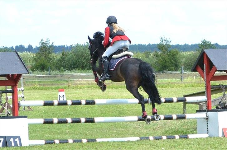 HJRK pinsestævne :) billede 21