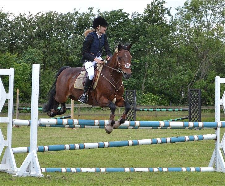 HJRK pinsestævne :) billede 25