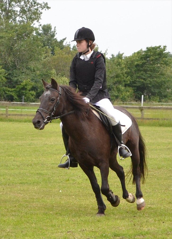 HJRK pinsestævne :) billede 26